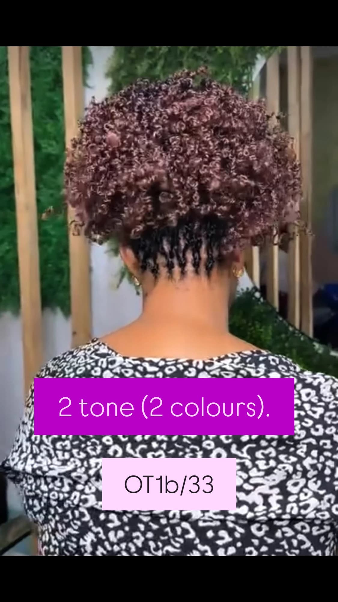 Spring Twist 12"